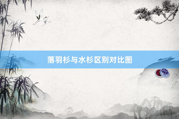 落羽杉与水杉区别对比图