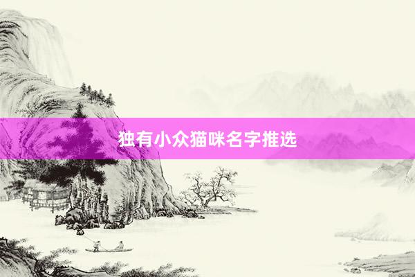 独有小众猫咪名字推选